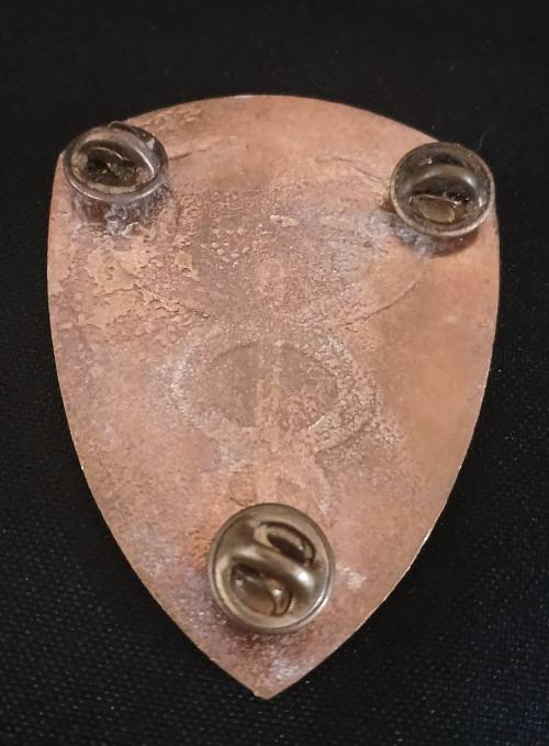 SADF -- SAMS  Military Medical Institute flash  ( Raised MMI )   ( Note One Pin Repaired )   R18