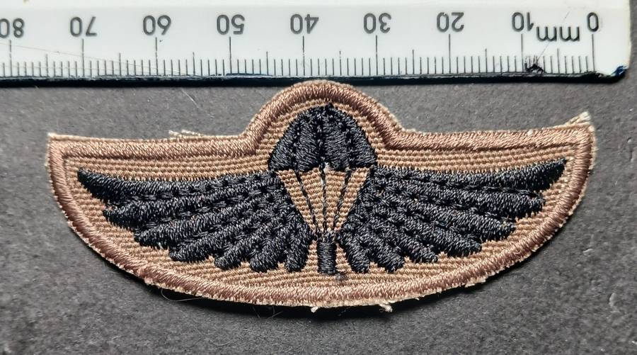Air Supply Instructor Breas Badge                      F124