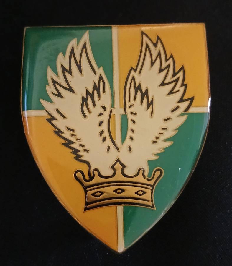 SADF GROUP 30 HQ SHOULDER FLASH      ( Note 2 Pins Repaired )                 D96