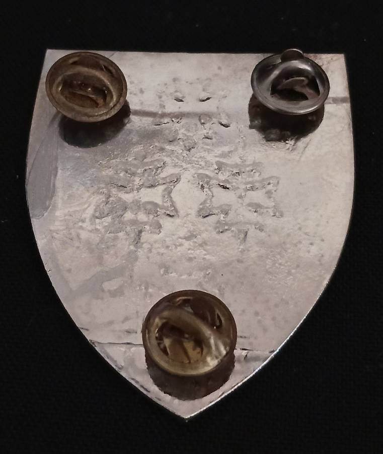 SA ARMY - SADF  6 Medical Group Battalion Shoulder Flash                         M5