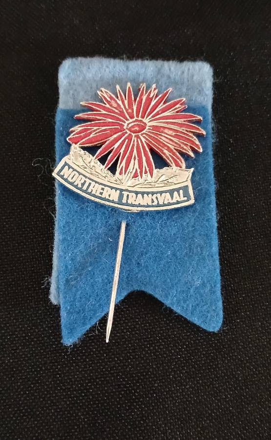 VINTAGE NORTHEREN TRANSVAAL RUGBY PIN BADGE                           V44