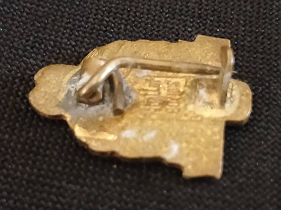REGIMENT TOBIE MULLER ENAMEL LAPEL BADGE   ` STERK EN FIER `  *** RARE ***    V110