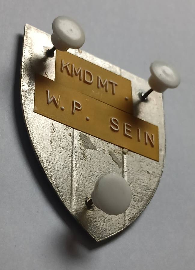 SADF Western Province Signal Unit Shoulder Flash ( Gold Line Round White Mountain )          MM8