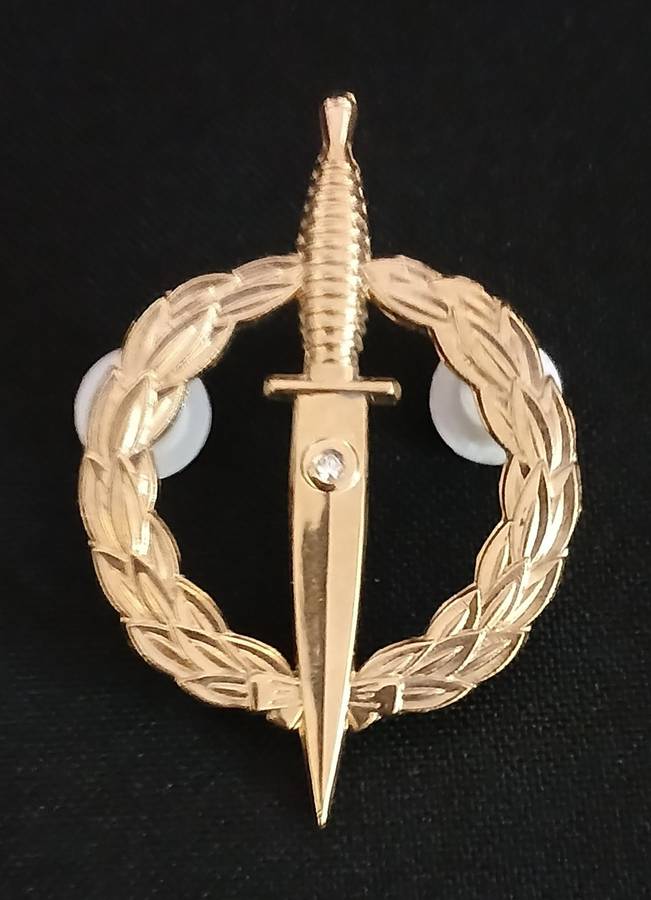 SADF Recce operator badge - 10 year active service - Gold colored - No number                   R152