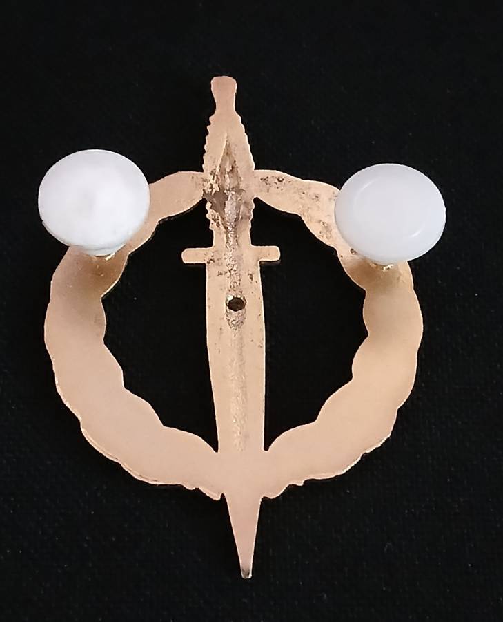 SADF Recce operator badge - 10 year active service - Gold colored - No number                   R152