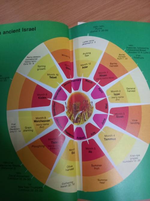 Handbook of the Bible