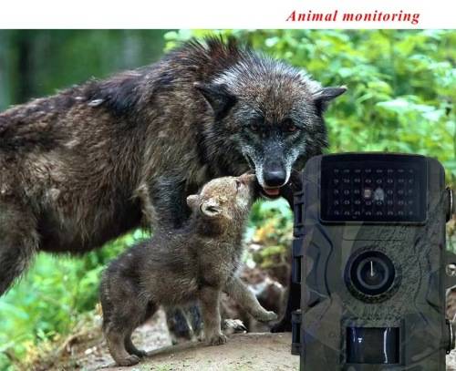 Infrared Waterproof Tracking Sensor Hunting Camera