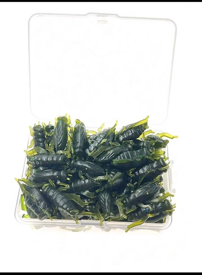60pc cricket bait for fishing