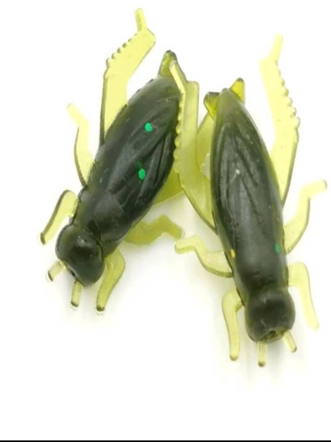 60pc cricket bait for fishing