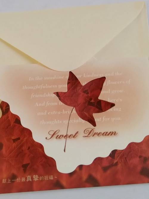 Clearance Sale - General Card  +  Envelope   13cm x 10cm