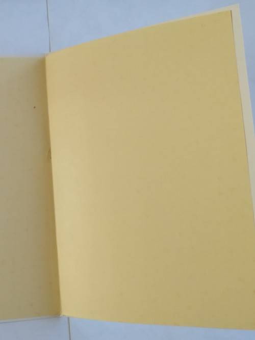 Clearance Sale - Unused General Card  +  Envelope   20.5cm x 14cm  -  See Note