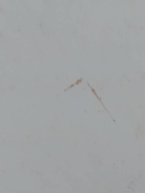 Clearance Sale - Unused General Card  +  Envelope   20.5cm x 14cm  -  See Note