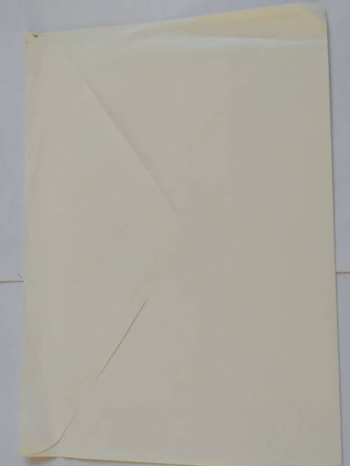 Clearance Sale - Unused General Card  +  Envelope   20.5cm x 14cm  -  See Note