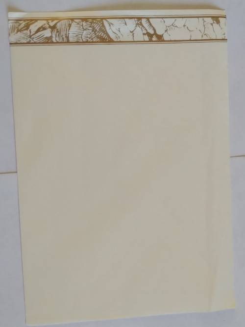 Clearance Sale - Unused General Card  +  Envelope   20.5cm x 14cm  -  See Note
