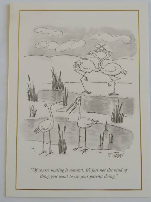 Clearance Sale - Valentines Card + Envelope  17.5cm x 12.5cm