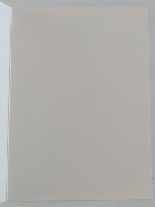 Clearance Sale - Valentines Card + Envelope  17.5cm x 12.5cm