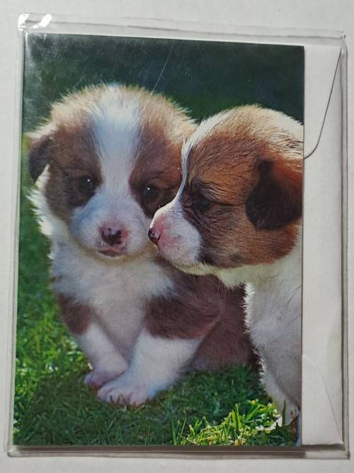 Clearance Sale - Mini  Card +  Envelope   8m x 6cm