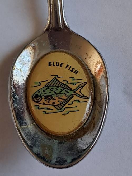 Vintage souvenir spoon -Lange Baan  -  Blue fish