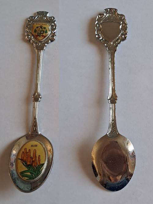 Vintage souvenir spoon -Knysna - Aloe