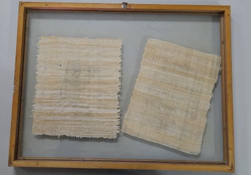 Egyptian Papyrus In Glass, Framed -  Tree of Life and Queen Nefertiti  