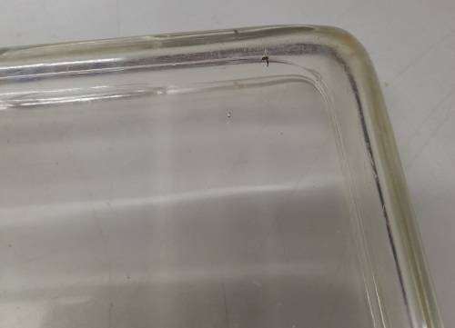 Pyrex 232 Clear Glass Dish