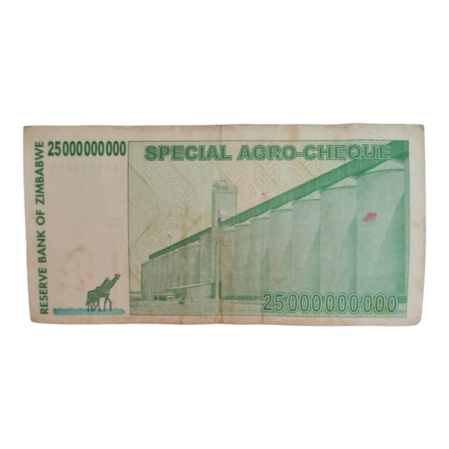 TWENTY FIVE BILLION ZIMBABWE DOLLARS