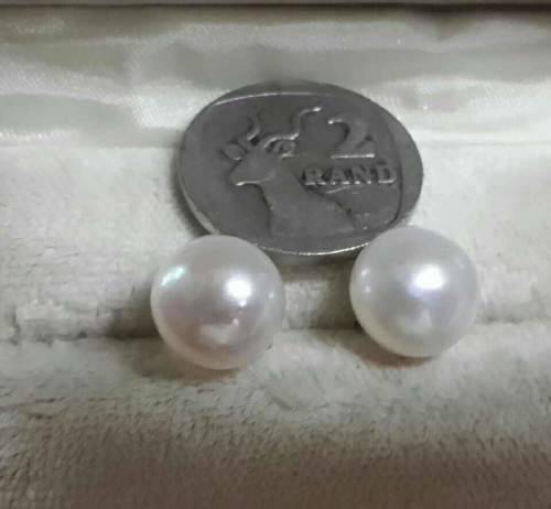 Huge  ( 14mm )  FW  Pearls Earrings  On 925 Backs