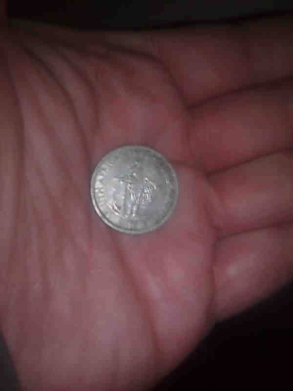 50 % SILVER =Scarse##-1955 -SA union Shilling -not many on BOB