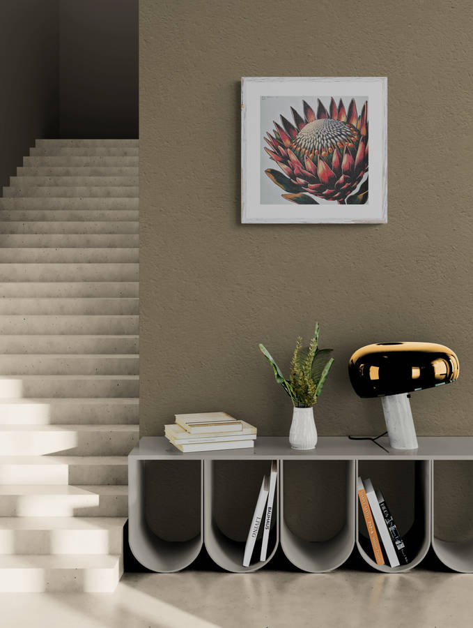 Anna Ibrahim - King Protea / 40cm x 40cm signed print marked 1/3