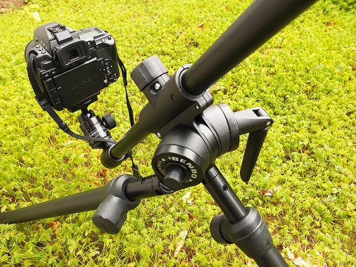 Benbo Tripod
