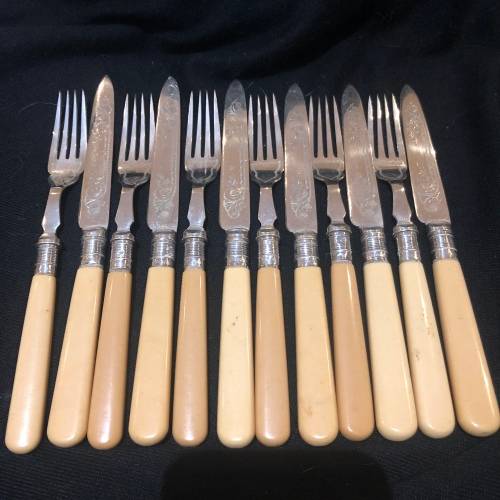 Bone handled cutlery set(CUT EE)