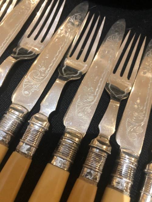 Bone handled cutlery set(CUT EE)