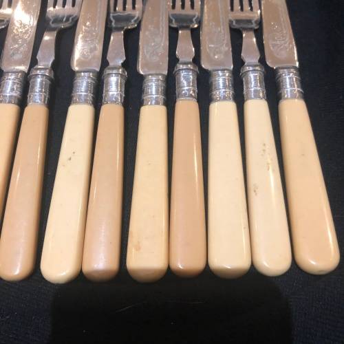 Bone handled cutlery set(CUT EE)