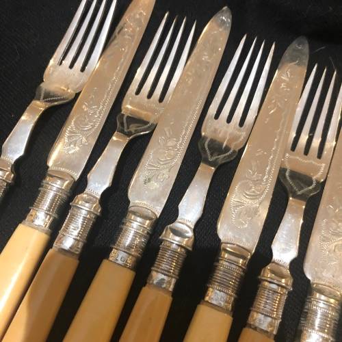 Bone handled cutlery set(CUT EE)