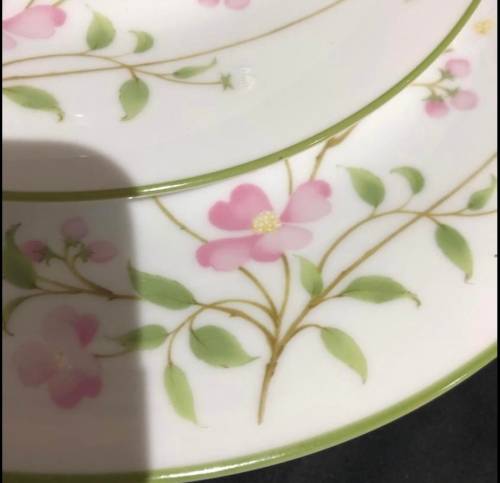 Noritake First Blush dinner service(PORC798)