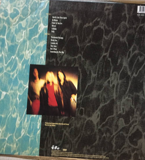 Nirvana Vinyl Records X 2 Nevermind & Mtv Unplugged Re Issues