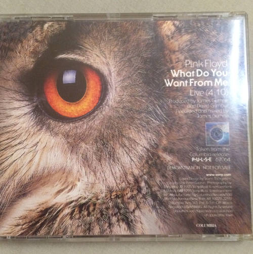 Pink Floyd - What Do You Want From  Me - CD Single Promo. Rare.