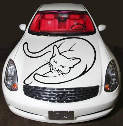 VINYL DECAL - SLEEPING KITTY FOR YOUR CAR - Various Sizes available