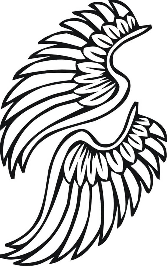 FREE SHIP/LOW COURIER - ANGEL WINGS WALL STICKER - XLRG 60+ COLOURS