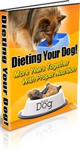 How To Successfully Diet your Dog + Free Postage
