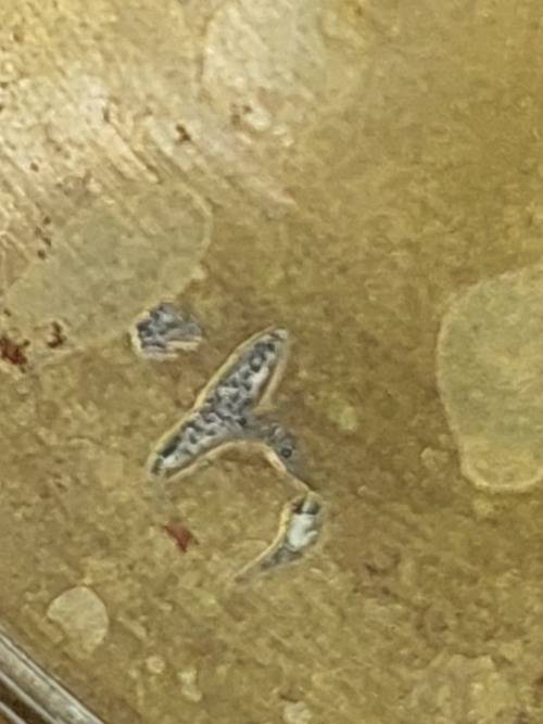 A VINTAGE BRASS GINGER JAR IN GREAT CONDITION SOLD AS IS