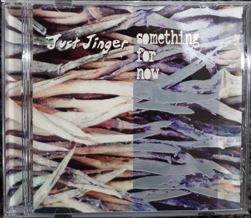 Just Jinger - Something For Now