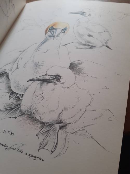Keith Brockie`s Wildlife Sketchbook ~ Keith Brockie