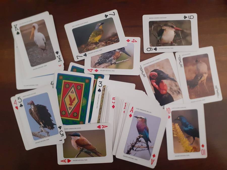 Playing cards - Birds of the Kruger Park