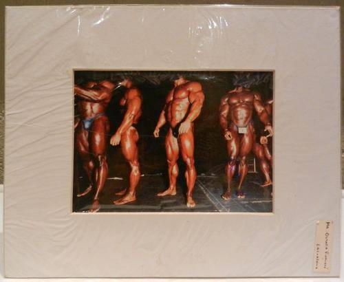 Mr Olympia Finalists (Fetish Art)