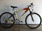 trail blaze mountain bike