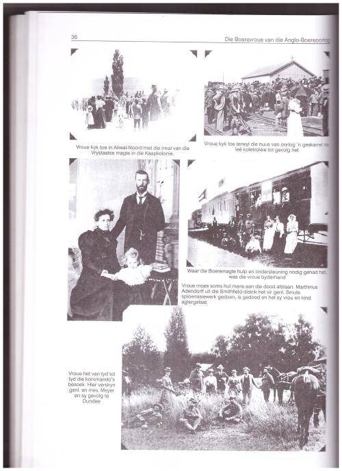 DIE BOEREVROU, 1899-1902, DEEL 1, MOEDERLEED