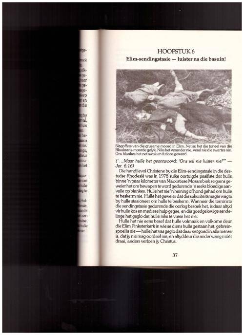 SIENER BLAAS DIE BASUIN