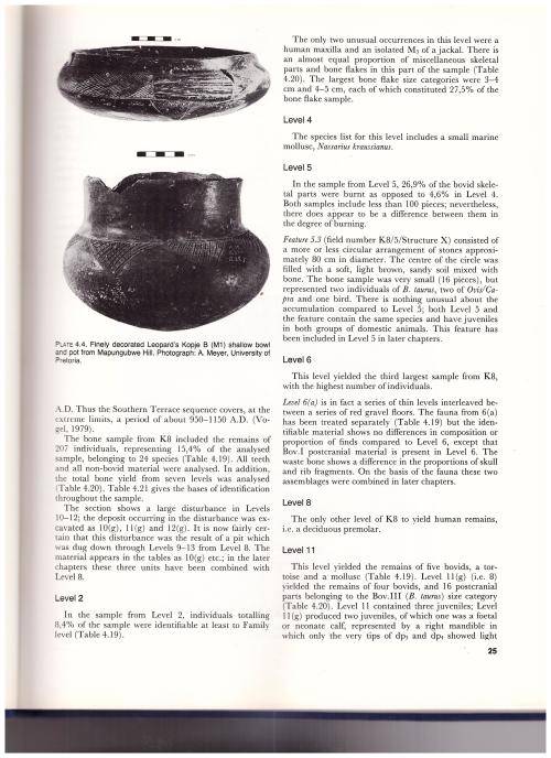 MAPUNGUBWE, AN ARCHAEOZOOLOGICAL INTERPRETATION OF AN IRON AGE COMMUNITY