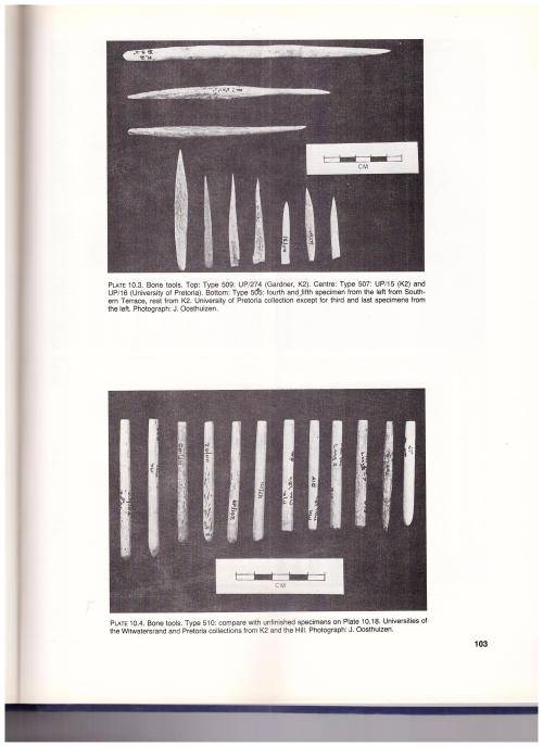 MAPUNGUBWE, AN ARCHAEOZOOLOGICAL INTERPRETATION OF AN IRON AGE COMMUNITY